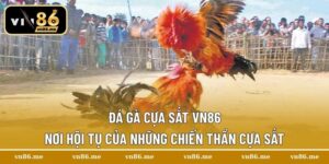 đá gà cựa sắt