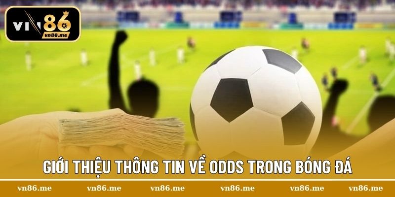 Hướng Dẫn Đọc Odds Trong Bóng Đá Chuẩn Xác Cho Người Chơi 1 Giới thiệu thông tin về odds trong bóng đá