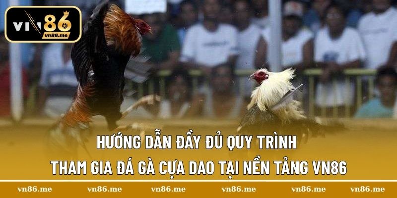 Đá Gà Cựa Dao – Kỹ Thuật Chuẩn, Chiến Kê Thắng Lớn 3 Hướng dẫn đầy đủ quy trình tham gia đá gà cựa dao tại nền tảng Vn86