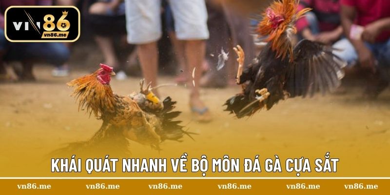 Đá Gà Cựa Sắt Vn86 | Nơi Hội Tụ Của Những Chiến Thần Cựa Sắt 1 Khái quát nhanh về bộ môn đá gà cựa sắt