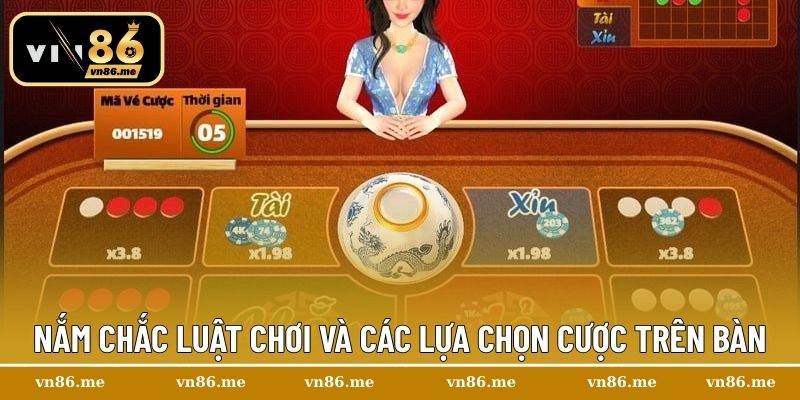 Xóc Đĩa Online – Trải Nghiệm Giải Trí Đỉnh Cao Tại Vn86 2 Nắm chắc luật chơi và các lựa chọn cược trên bàn