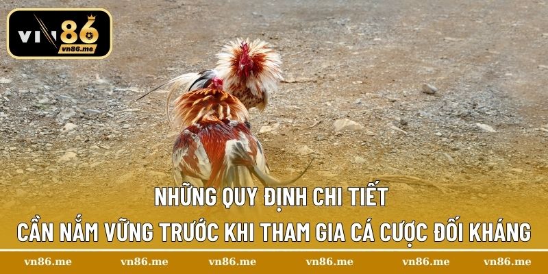Đá gà cựa sắt Thomo – Trải Nghiệm Cuộc Chiến Gay Cấn Tại Vn86 2 Những quy định chi tiết cần nắm vững trước khi tham gia cá cược đối kháng