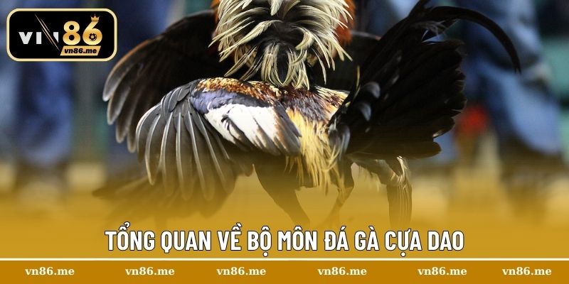 Đá Gà Cựa Dao – Kỹ Thuật Chuẩn, Chiến Kê Thắng Lớn 1 Tổng quan về bộ môn đá gà cựa dao