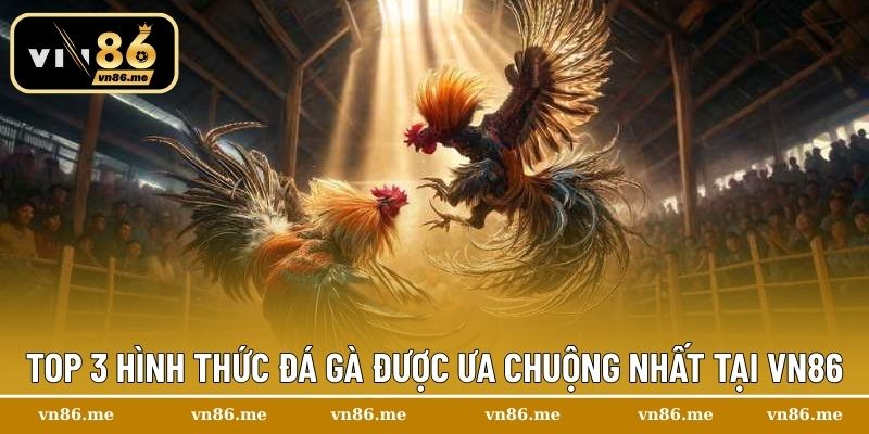 Top 3 hình thức đá gà được ưa chuộng nhất tại Vn86